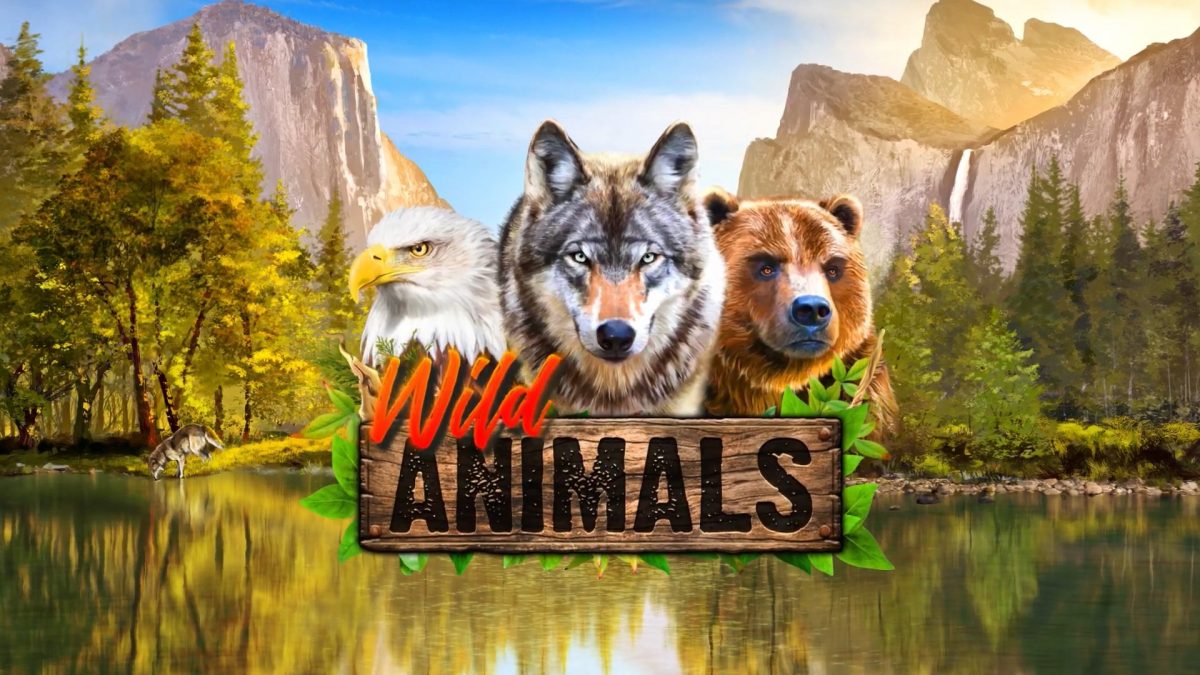 Ulasan Slot Wild Animals