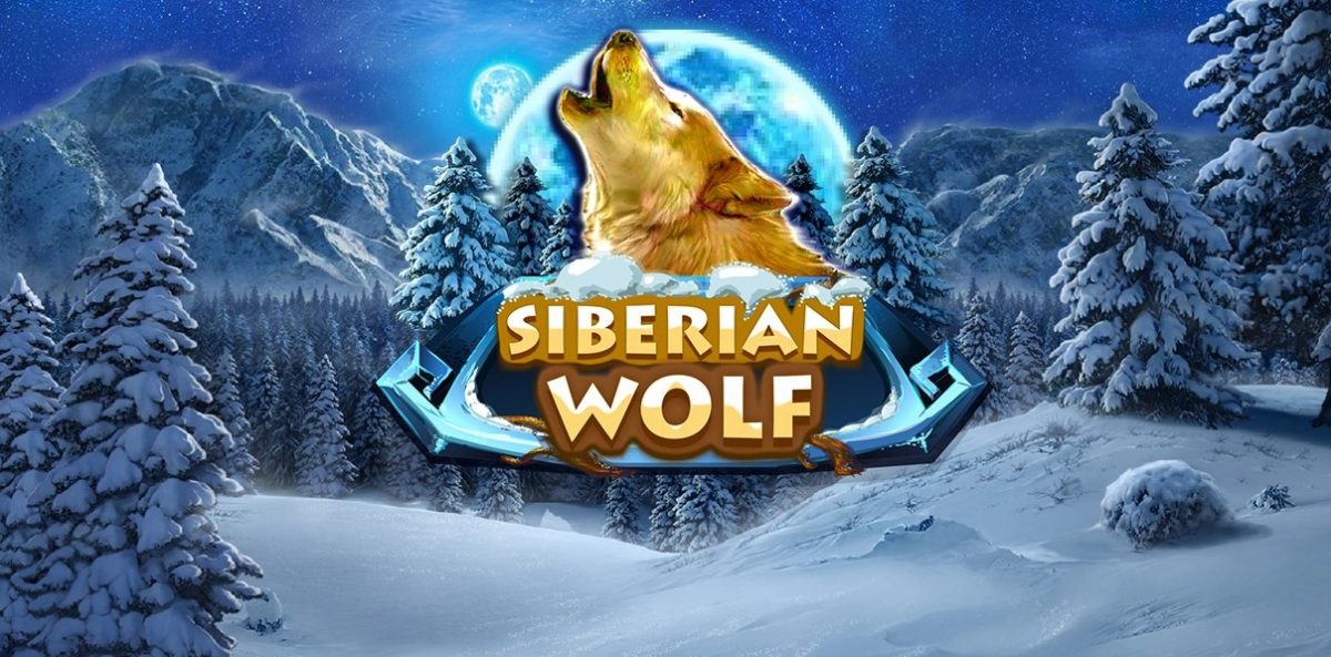 Cara Bermain Mesin Siberian Wolf